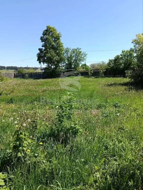 Участок в Пермский край, Чайковский городской округ, с. Ольховка ул. ... - Фото 1