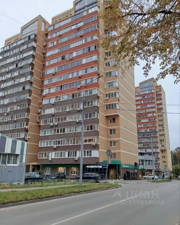 Студия Московская область, Балашиха городской округ, д. Павлино 67 ... - Фото 0