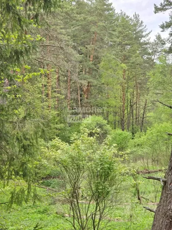 Участок в Калужская область, Перемышльский муниципальный округ, ... - Фото 2
