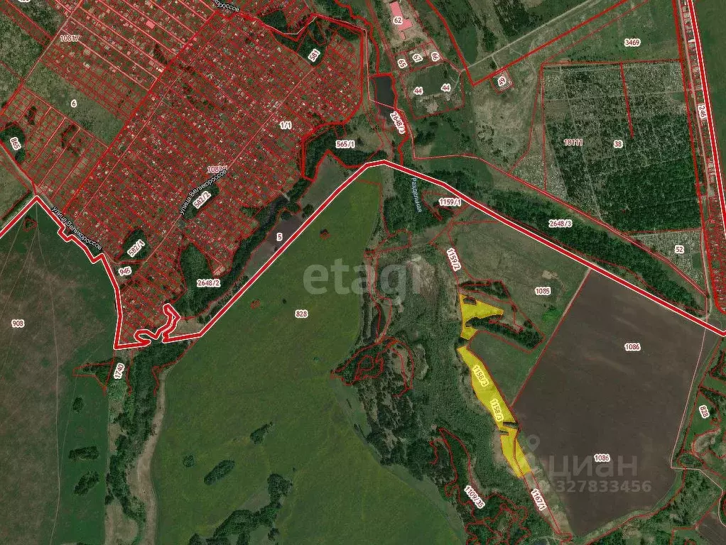 Участок в Новосибирская область, Бердск  (520.0 сот.) - Фото 1