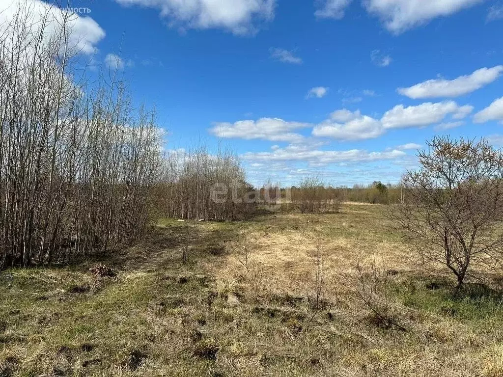 Участок в Нижний Тагил, Тагилстроевский район, село Ольховка (6 м) - Фото 0