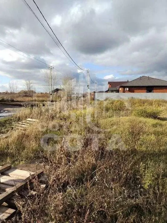 Участок в Воронежская область, с. Новая Усмань ул. Набережная (12.0 ... - Фото 2