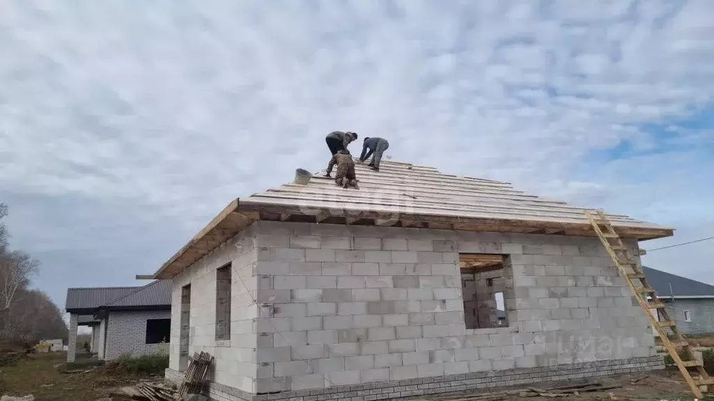 Дом в Алтайский край, Барнаул городской округ, пос. Черницк ул. ... - Фото 1