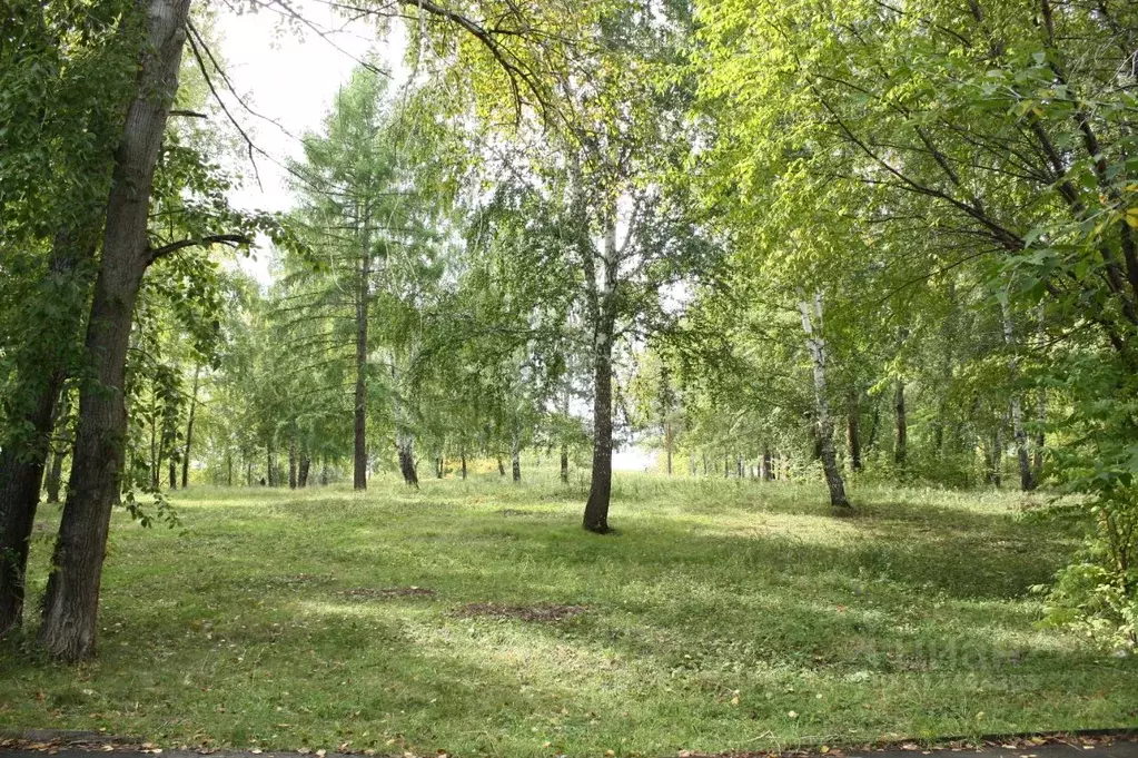 Участок в Свердловская область, Белоярский муниципальный округ, с. ... - Фото 1