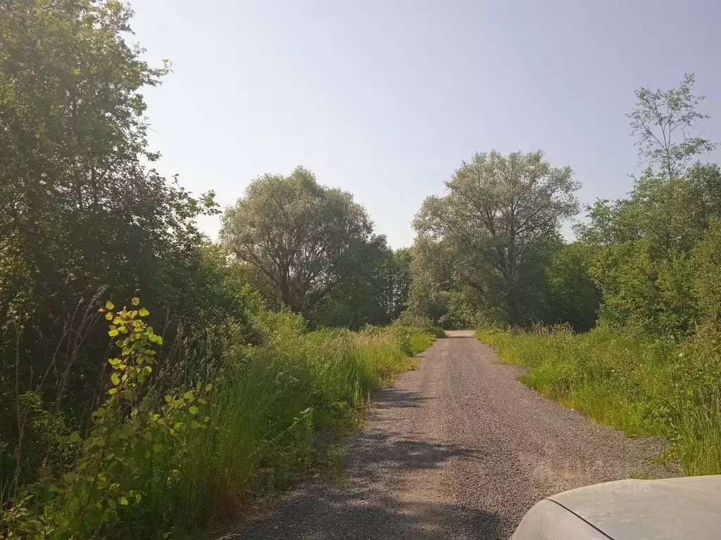 Участок в Новгородская область, Новгородский район, Бронницкое с/пос, ... - Фото 1