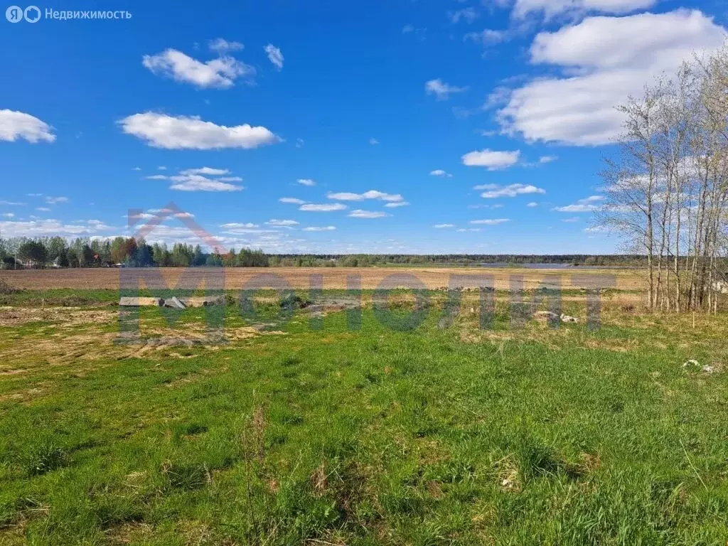 Участок в Ярославский муниципальный округ, посёлок Волга (14.6 м) - Фото 0