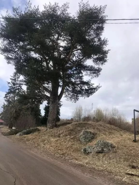 1-к кв. Ленинградская область, Приозерский район, пос. Севастьяново ... - Фото 1