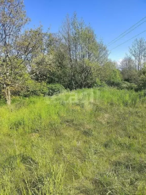 Участок в Калининградская область, Гурьевский муниципальный округ, ... - Фото 1