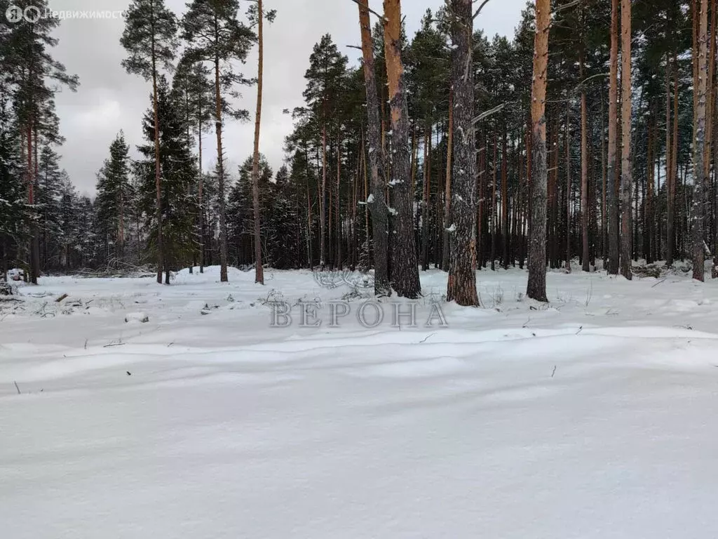 Участок в Богородский городской округ, коттеджный посёлок Родное ... - Фото 0