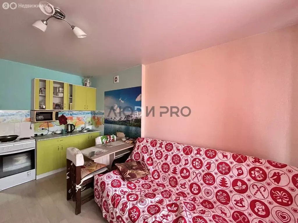 Квартира-студия: деревня Хохряки, Муромская улица, 4 (24 м) - Фото 2
