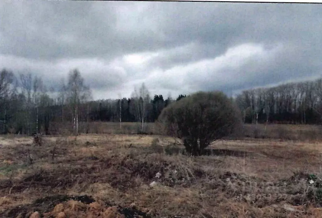 Участок в Московская область, Наро-Фоминский городской округ, д. ... - Фото 2