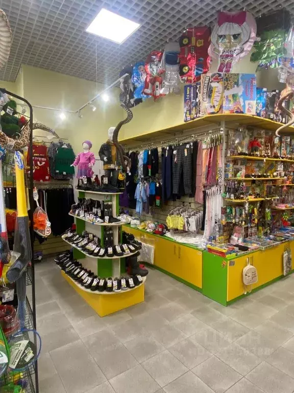 Торговая площадь в Московская область, Пушкино ул. Сретенская, 2 (64 ... - Фото 2