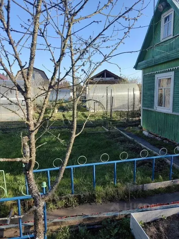 Участок в Ленинградская область, Кингисепп Юннатская садоводческий ... - Фото 1