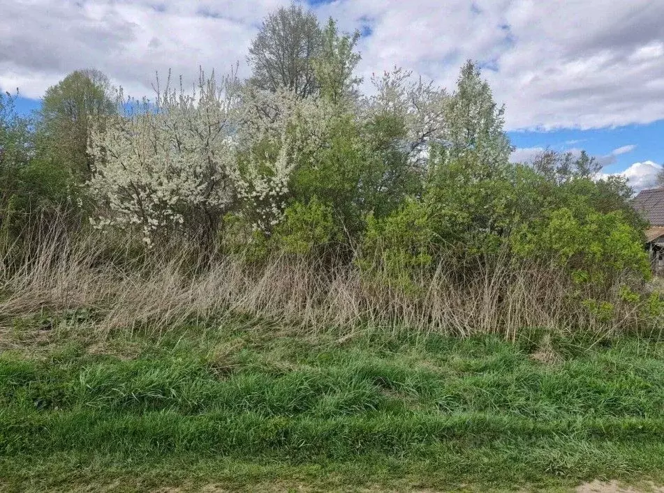 Участок в Московская область, Ступино городской округ, д. Малое ... - Фото 0