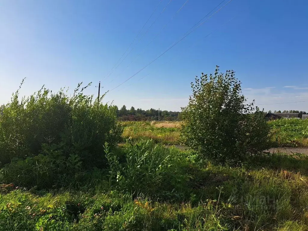 Участок в Московская область, Пушкинский городской округ, д. Луговая  ... - Фото 2
