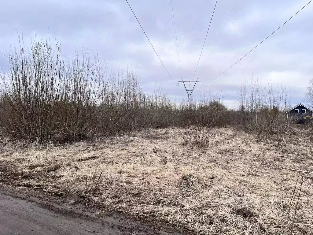 Участок в Владимирская область, Суздальский район, Новоалександровское ... - Фото 1
