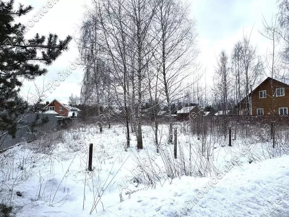 Участок в Московская область, Одинцовский городской округ, д. Сальково ... - Фото 0