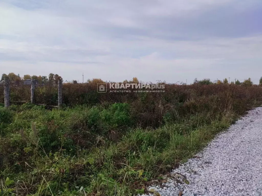 Участок в Свердловская область, Невьянский городской округ, с. ... - Фото 2