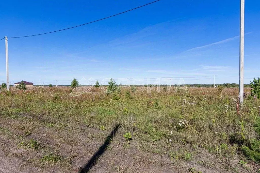 Участок в Тюменская область, Тюменский район Тобольский тракт, 21-й ... - Фото 2