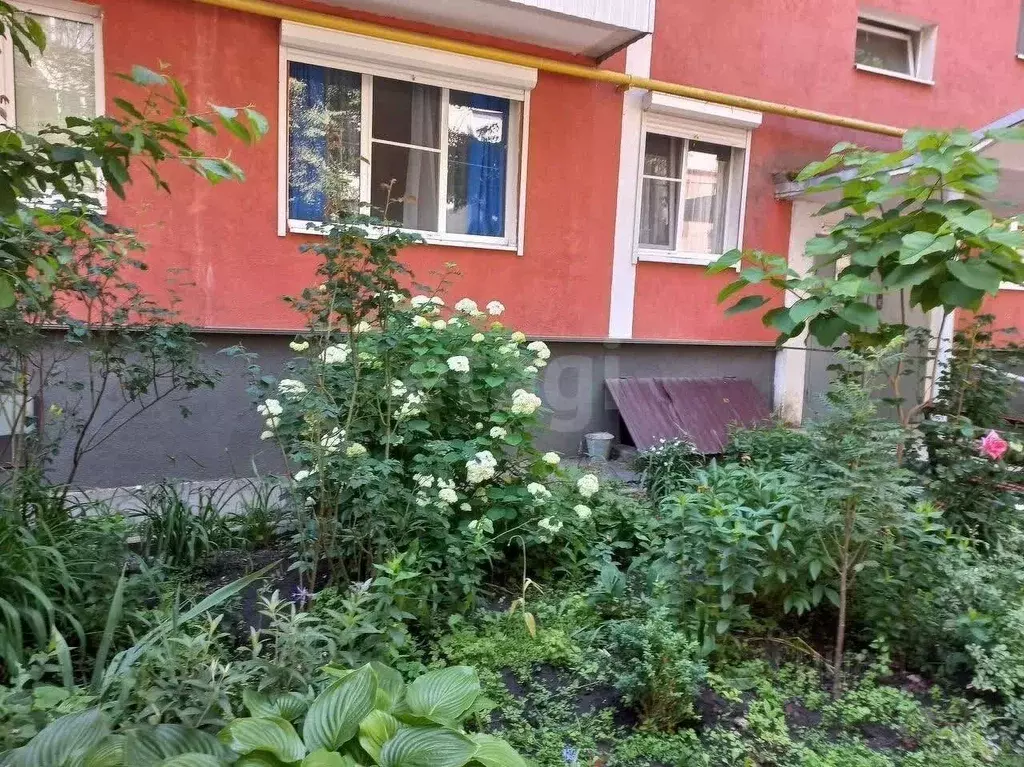 2-к кв. Белгородская область, Белгород Народный бул., 63А (42.0 м) - Фото 1