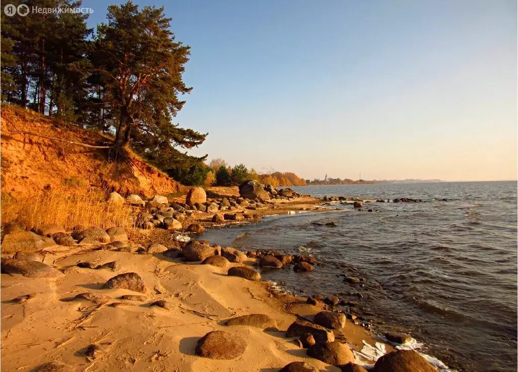 Участок в Псковский район, территория Залитских островов, деревня ... - Фото 1