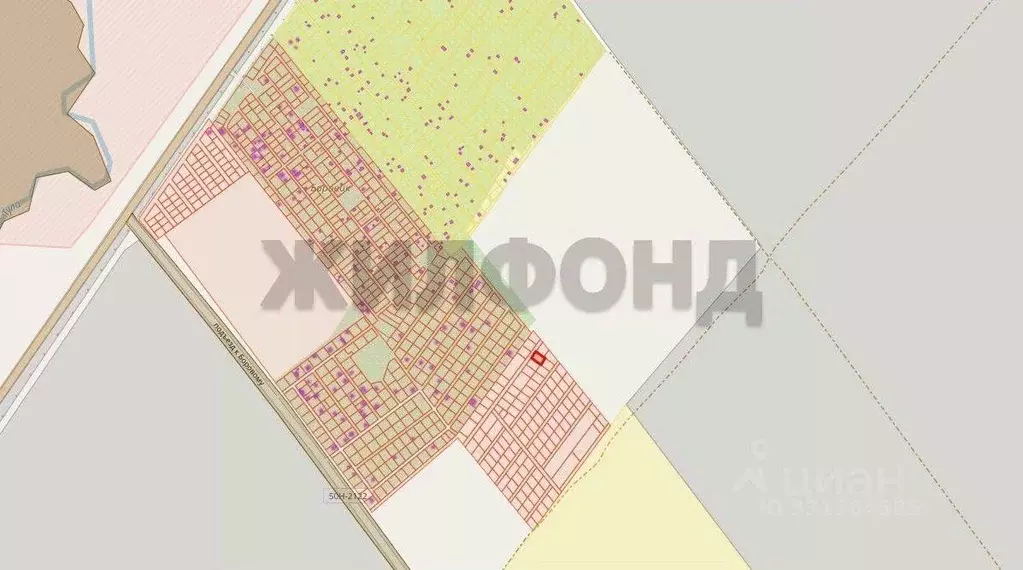 Участок в Новосибирская область, Новосибирский район, Ярковский ... - Фото 1