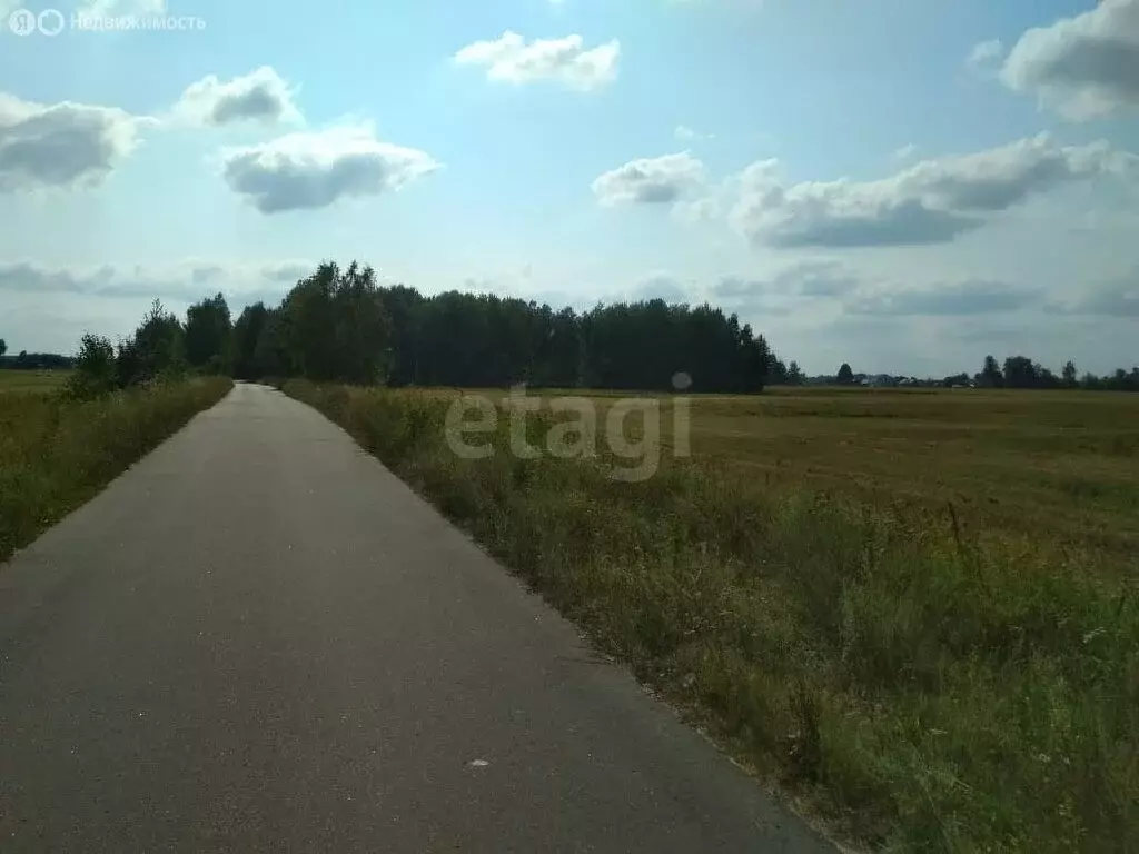 Участок в Клинцовский район, Смотровобудское сельское поселение (440 ... - Фото 1