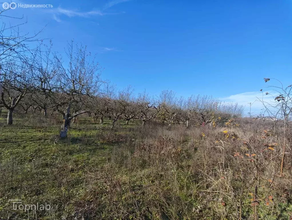 Участок в Кабардино-Балкарская Республика, Нальчик (6.5 м) - Фото 2