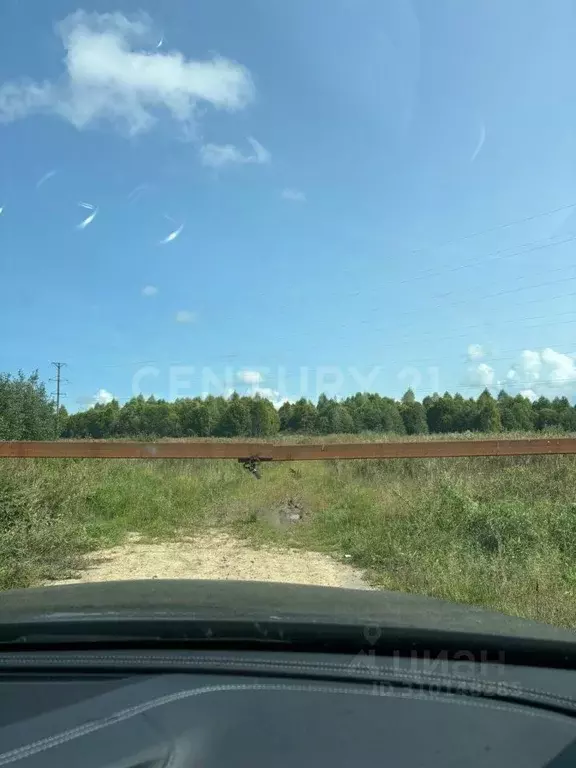 Участок в Московская область, Шаховская городской округ, д. Ховань  ... - Фото 1