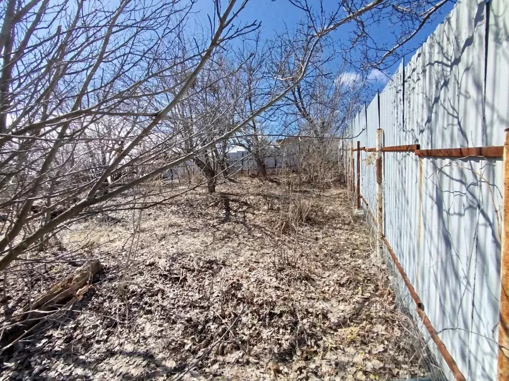 Дом в Саратовская область, Озинки рп ул. Пушкинская, 49 (48 м) - Фото 1