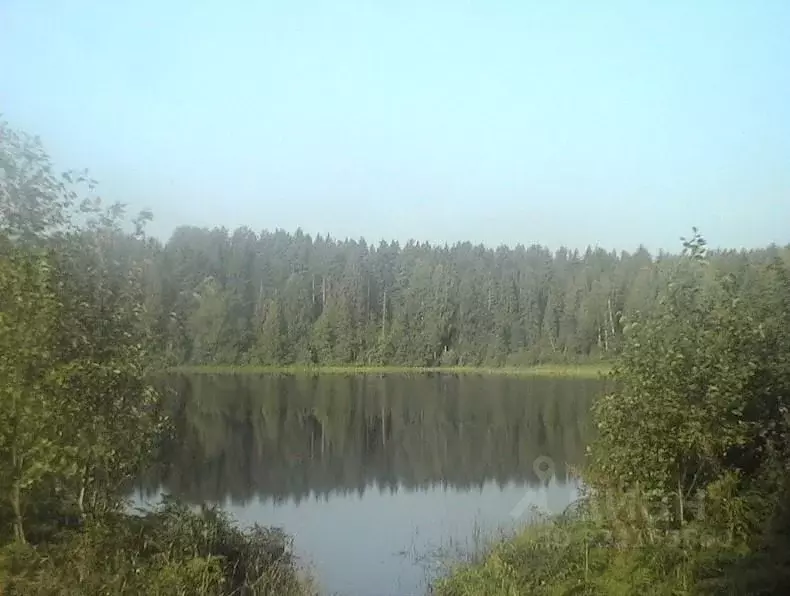 Участок в Тверская область, Осташковский муниципальный округ, д. ... - Фото 1