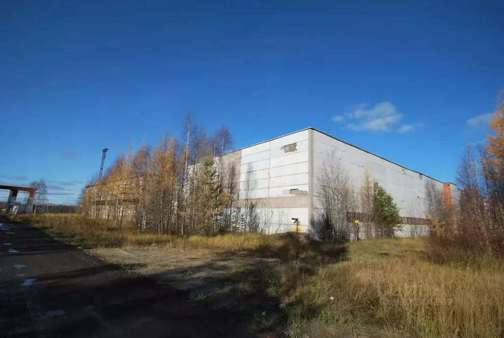 Склад в Ямало-Ненецкий АО, Ноябрьск пос. МК-102,  (9500 м) - Фото 1