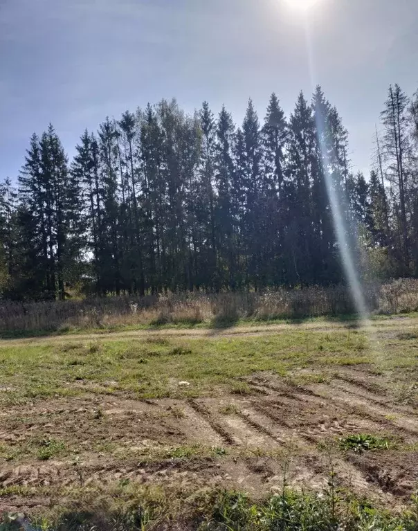 Участок в Калужская область, Боровский муниципальный округ, Совьяки ... - Фото 1