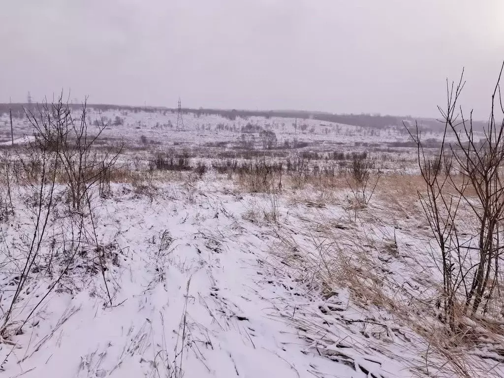 Участок в Смоленская область, Смоленский муниципальный округ, д. ... - Фото 1