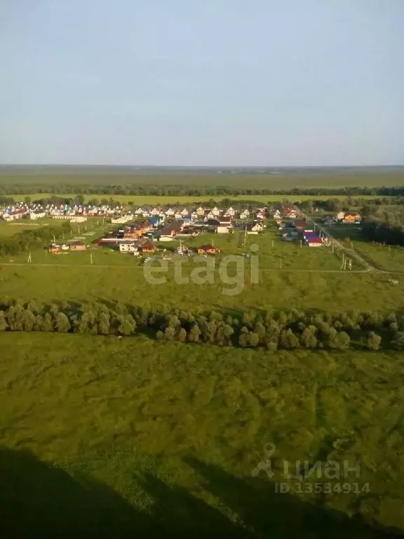 Участок в Алтайский край, Первомайский район, с. Фирсово 80 (8.0 сот.) - Фото 0