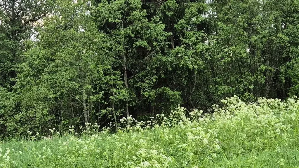 Участок в Московская область, Сергиево-Посадский городской округ, д. ... - Фото 0