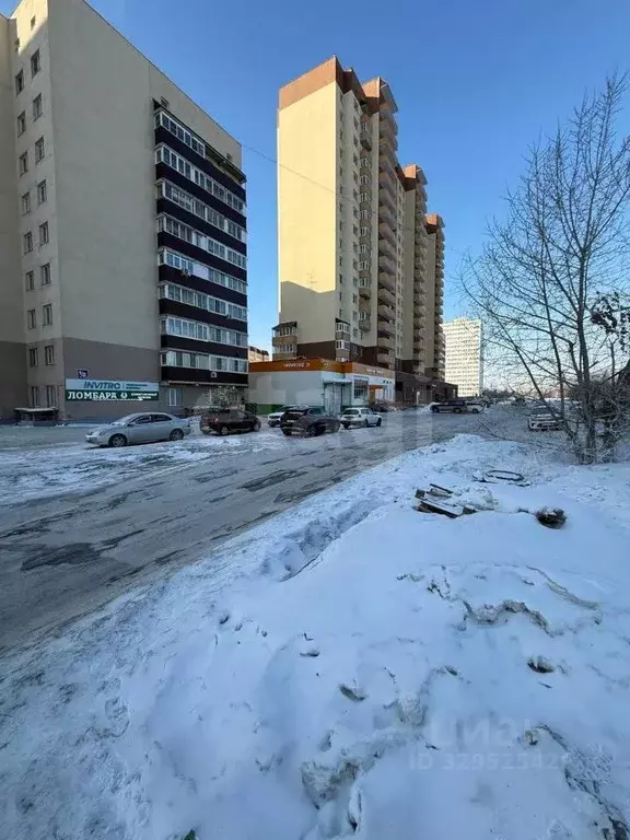 Помещение свободного назначения в Новосибирская область, Новосибирск ... - Фото 1