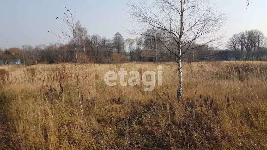 Участок в Брянская область, Жуковский муниципальный округ, с. Овстуг ... - Фото 2