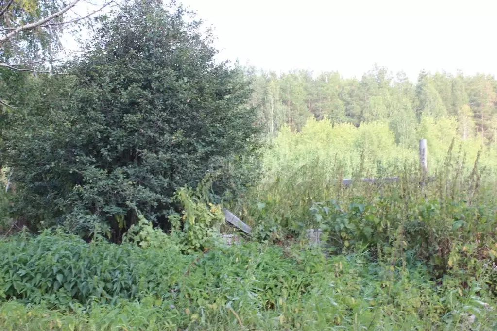 Участок в Свердловская область, Горноуральский городской округ, с. ... - Фото 1