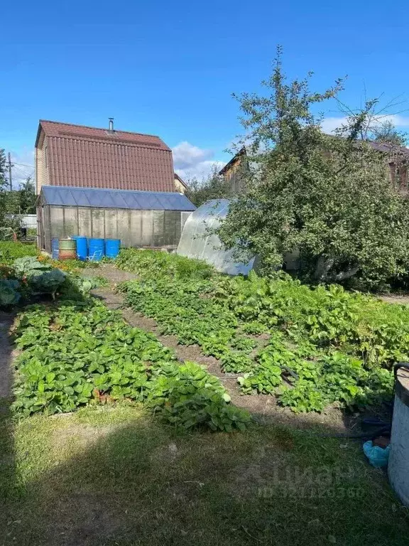 Дом в Тюменская область, Тюмень Бирюсинка СНТ, ул. Озерная (31 м) - Фото 1