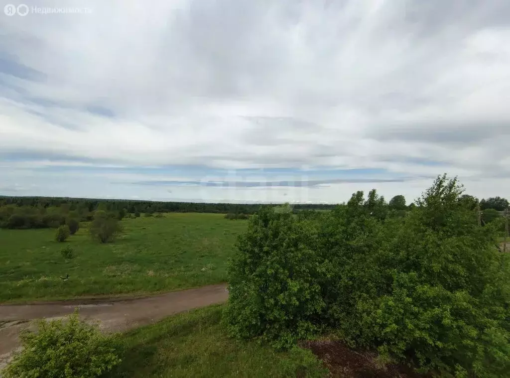 Участок в Вологодская область, Кириллов (443 м) - Фото 0