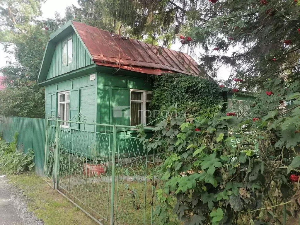 Участок в Новосибирская область, Новосибирский район, Толмачевский ... - Фото 1