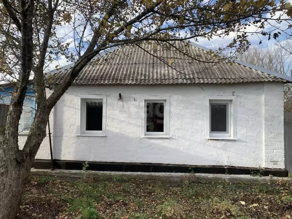 Дом в Белгородская область, Вейделевка рп ул. Свободы, 336 (43 м) - Фото 2