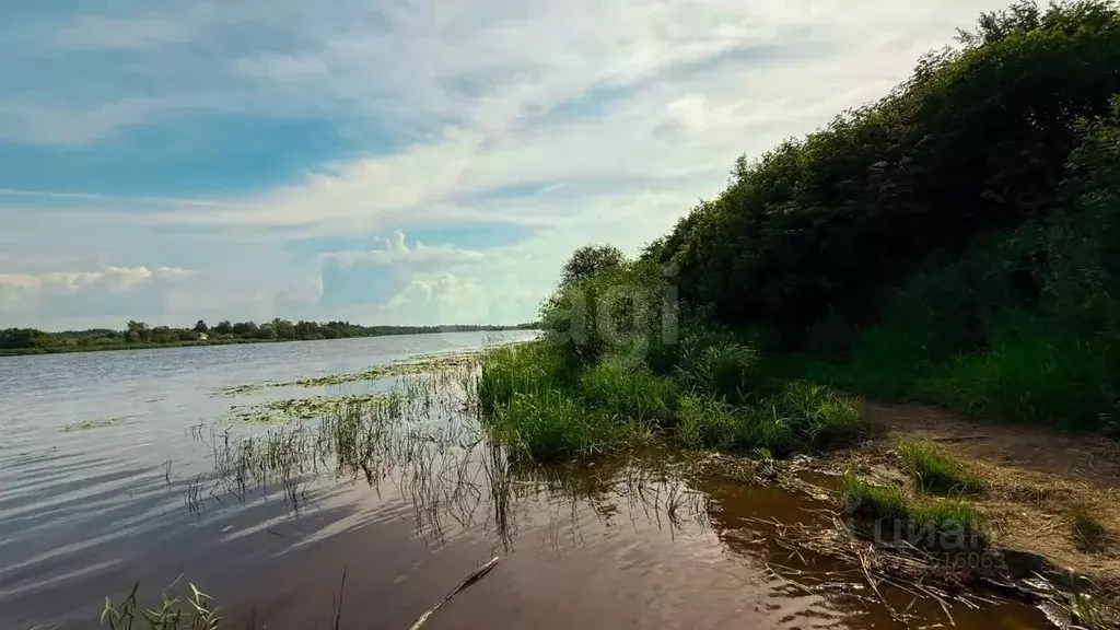 Участок в Ленинградская область, Волховский район, Староладожское ... - Фото 1