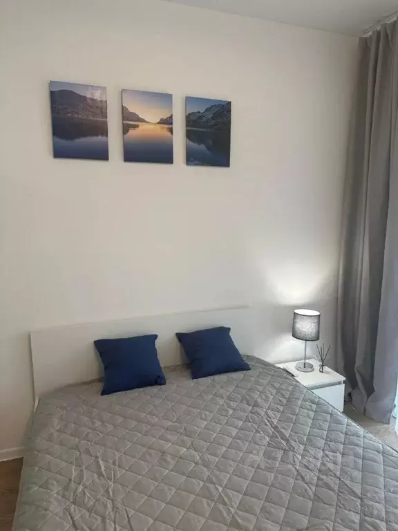 Студия Москва ул. Алхимовская, 1к1 (21.6 м) - Фото 2