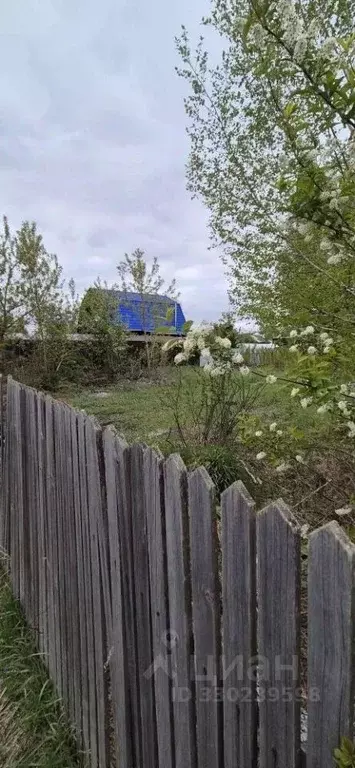 Участок в Новосибирская область, Коченевский район, Витязь садовое ... - Фото 1