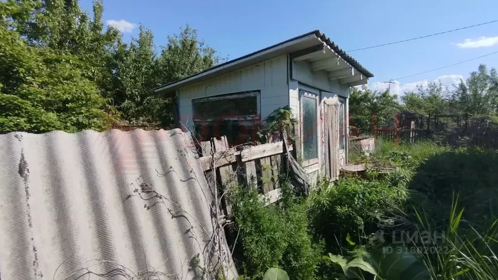 Участок в Ростовская область, Волгодонск Волгодонский Садовод СНТ,  ... - Фото 1