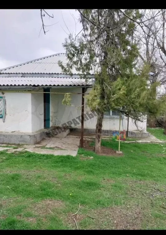 Дом в Калмыкия, с. Приютное, Голый Лиман кв-л ул. Лиманная, 35 (35 м) - Фото 2