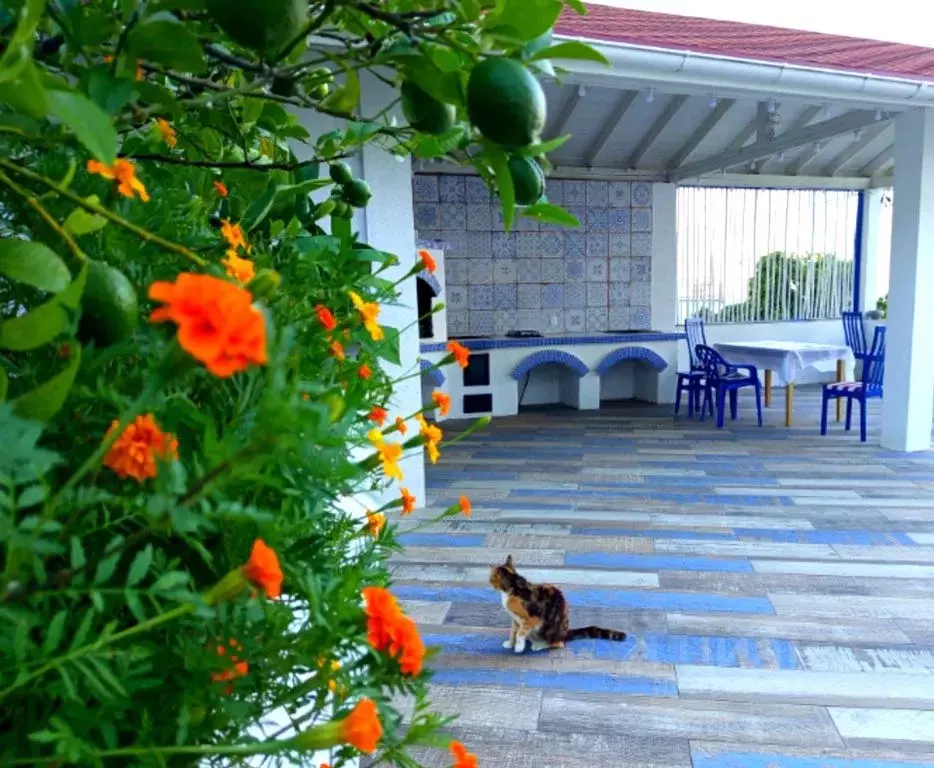 Комната Краснодарский край, Сочи Ландыш садовое товарищество, 86 - Фото 2