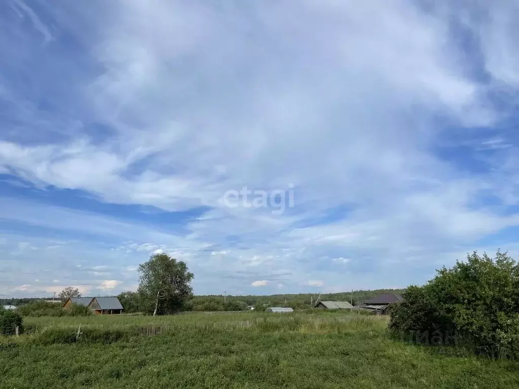 Участок в Свердловская область, Слободо-Туринский район, ... - Фото 1